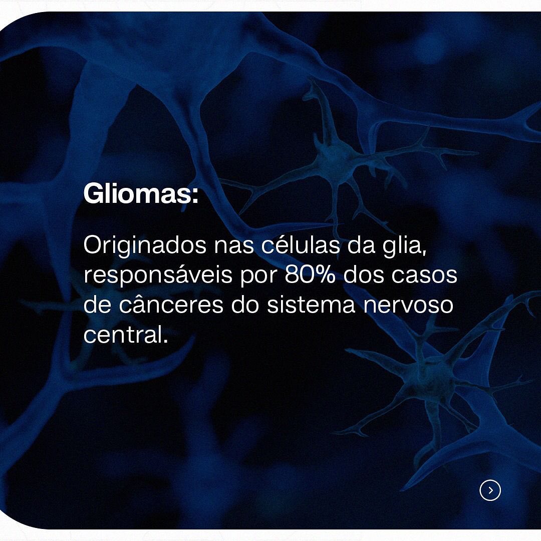 Sistemas nervoso central