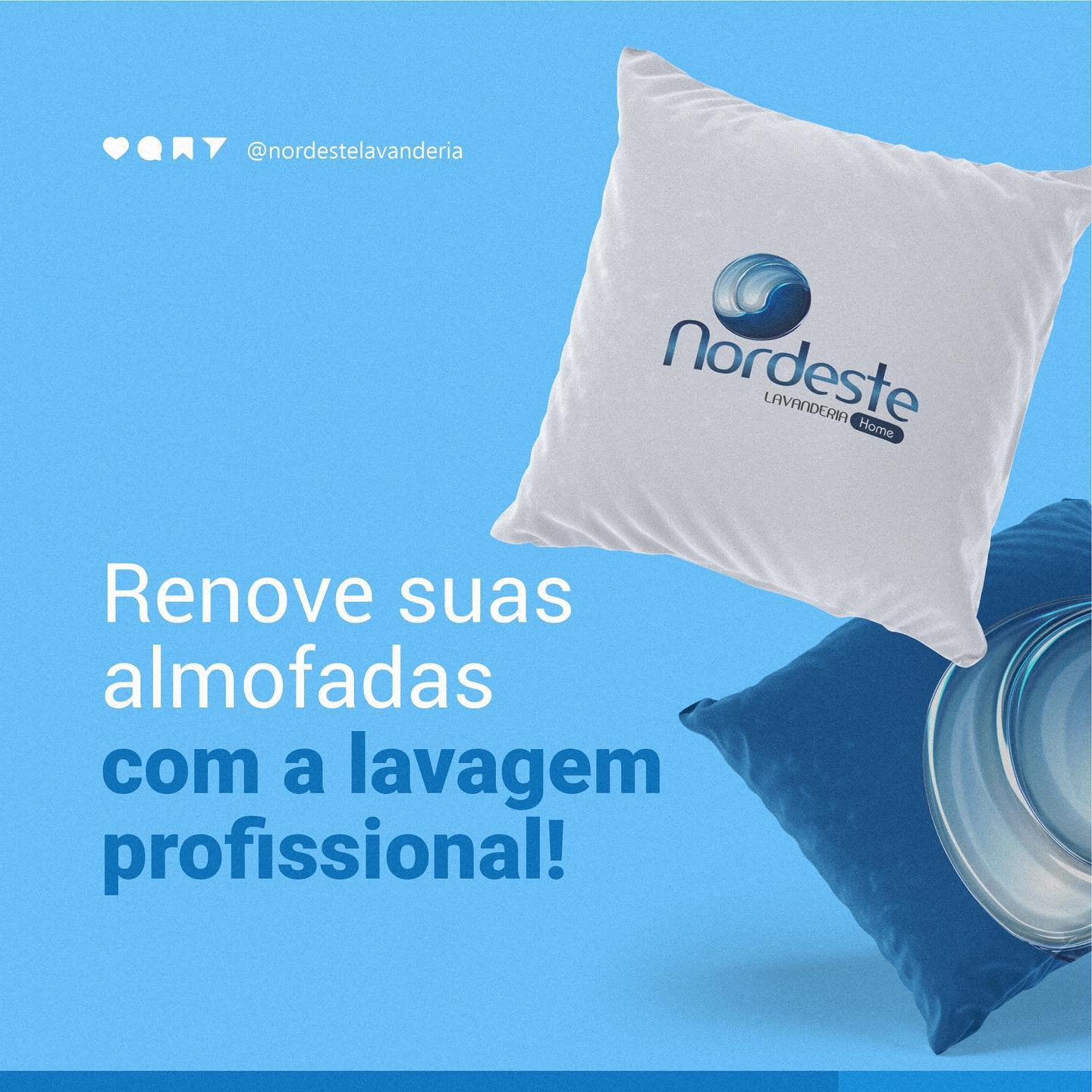 Quando foi a última vez que você deu atenção especial às suas almofadas?