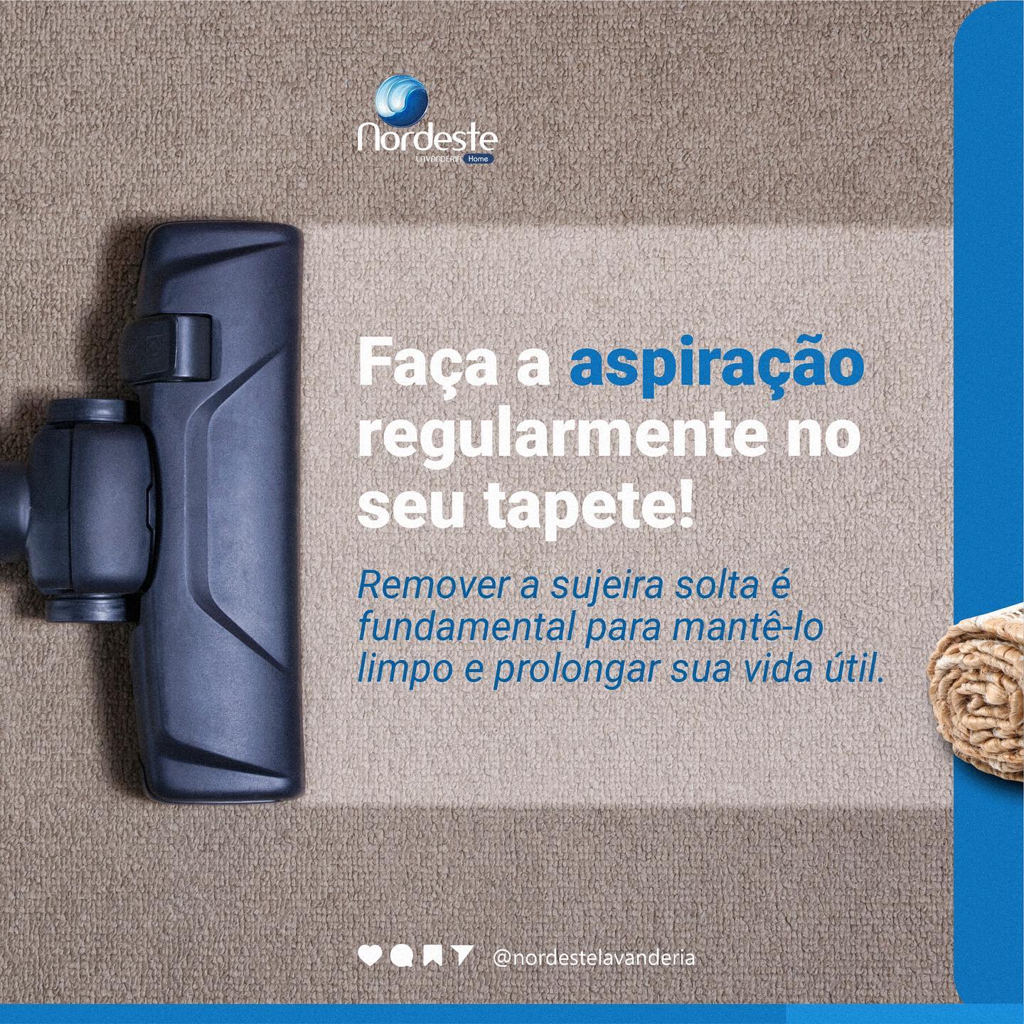 Quer manter seus tapetes impecáveis?