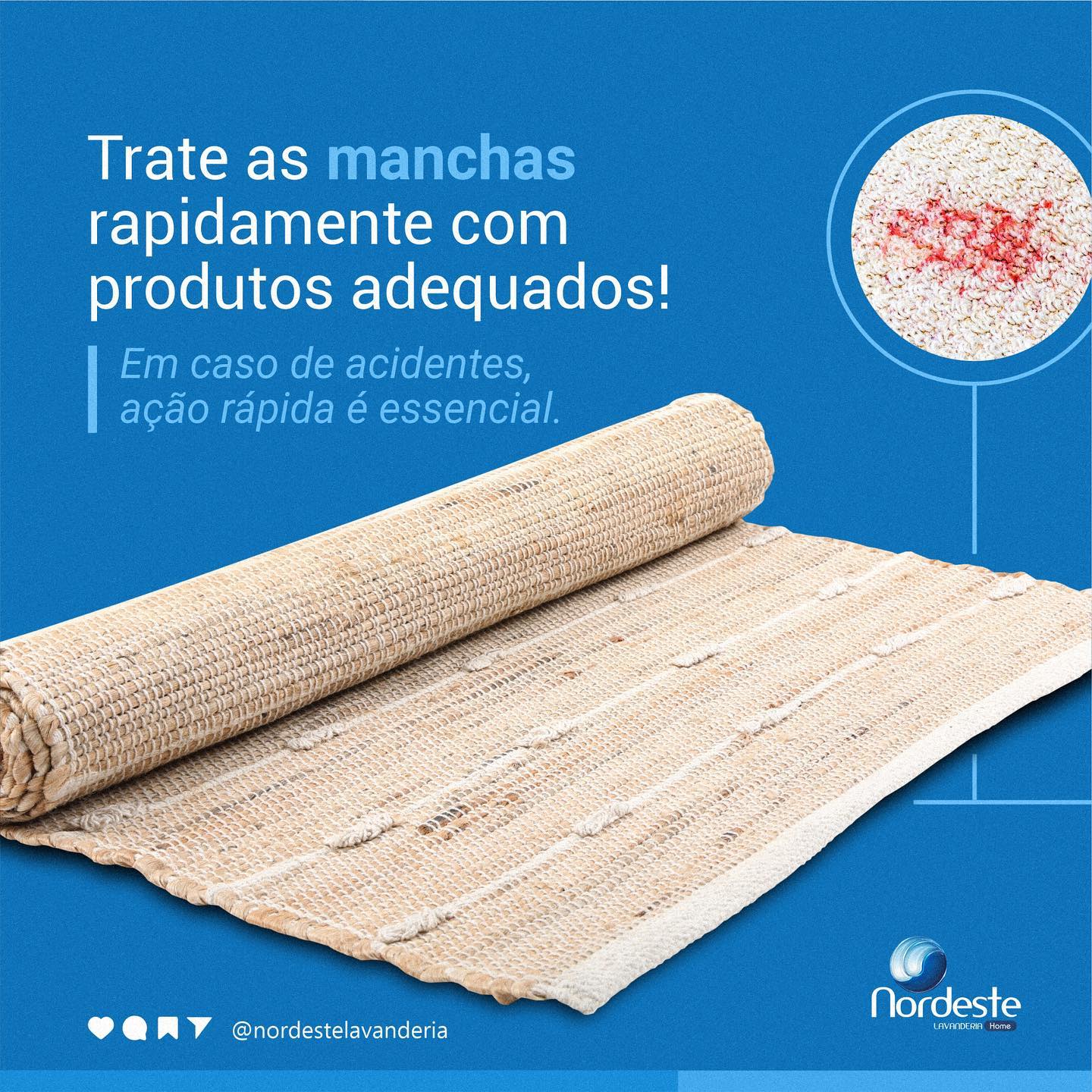 Quer manter seus tapetes impecáveis?