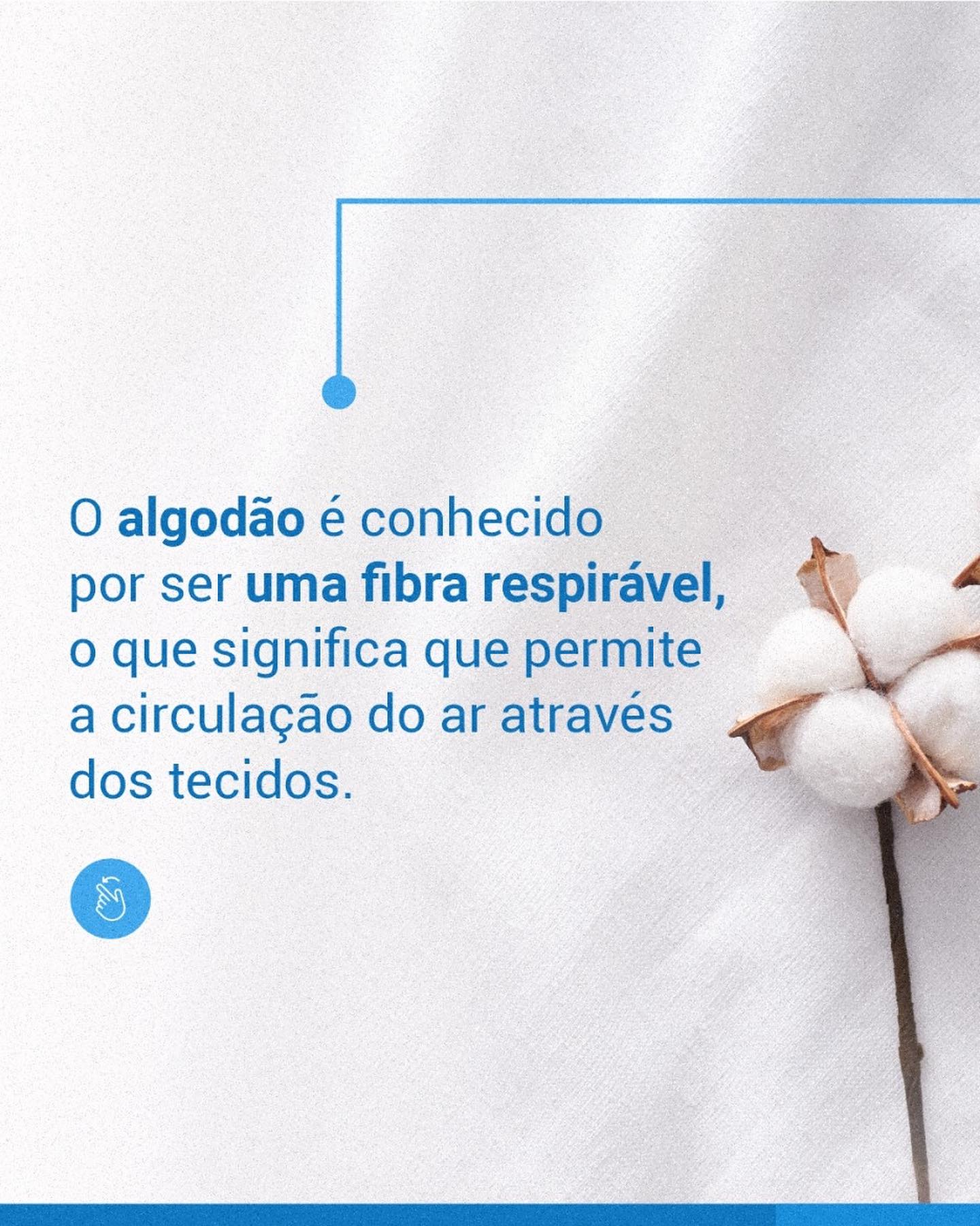 Você precisa conhecer melhor o algodão!